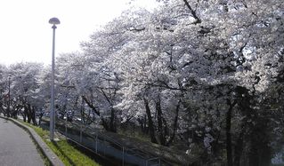 【寺西】今日の富山大学杉谷キャンパス