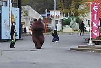 100114_03.jpg 100114_03.jpg