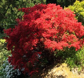 100177_02.jpg 100177_02.jpg