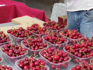 100182_01.jpg 100182_01.jpg