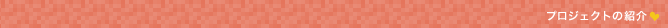 プロジェクトの紹介